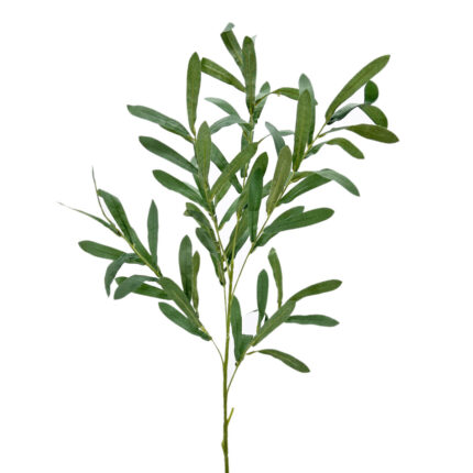 Greenery MY-19
