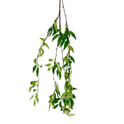 Greenery MY-33