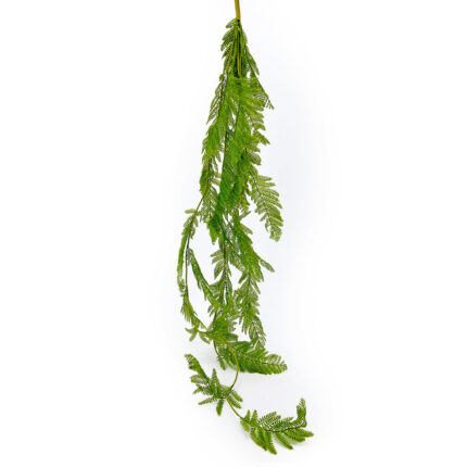 Greenery CT-02
