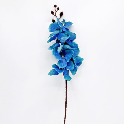 Orchids HXG-04