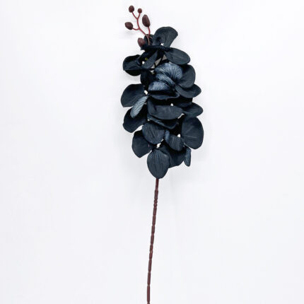 Orchids HXG-03