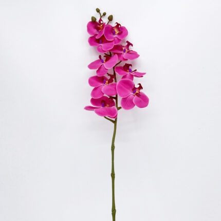 Orchids YW-27