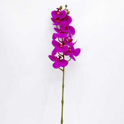 Orchids YW-15