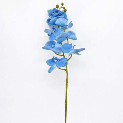 Orchids YW-14
