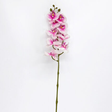 Orchids YW-17