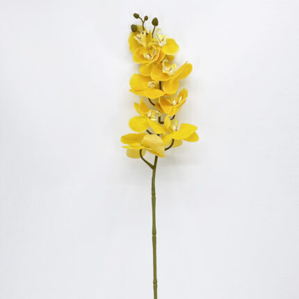 Orchids YW-16