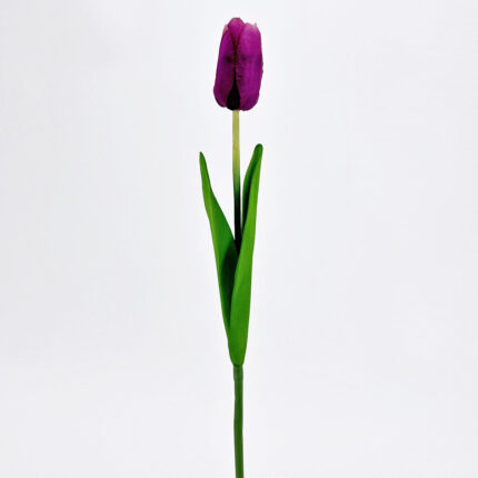 Tulips SY-06