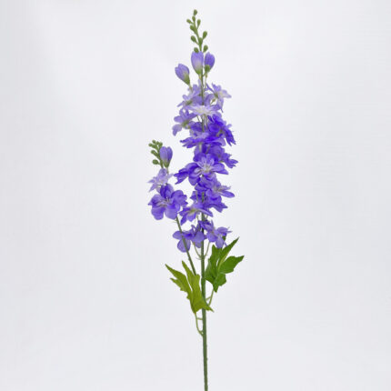Delphinium WX-129
