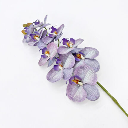 Orchids YW-43