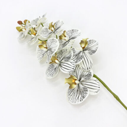Orchids YW-47