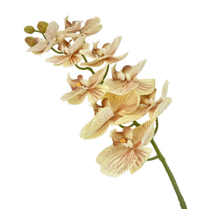 GNW Brown Artificial Orchids Real Touch YW-46
