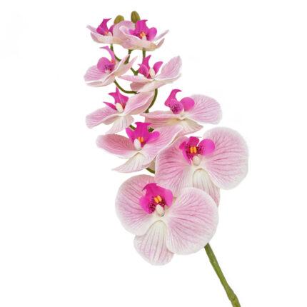 GNW Light Pink Artificial Orchids Real Touch YW-38