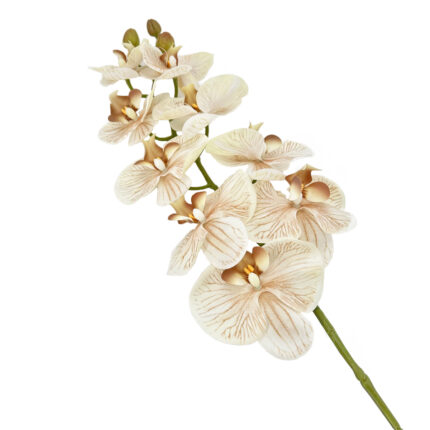 GNW Brown Artificial Orchids Real Touch YW-45