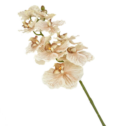 GNW Brown Artificial Orchids Real Touch YW-36