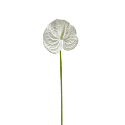GNW White Artificial Anthurium HTT-29