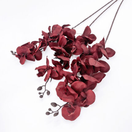 Orchids HDX-32