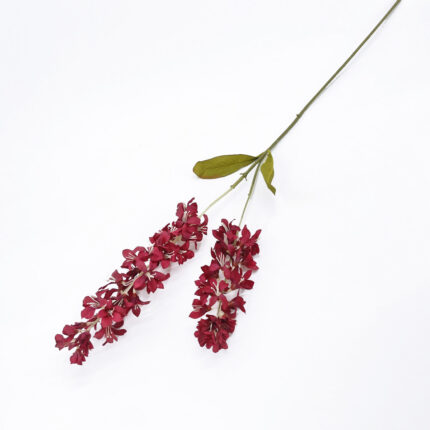 Delphinium LR-174