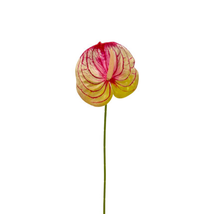 GNW Fuchisa Artificial Anthurium LRR-303