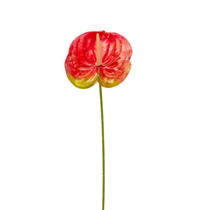 GNW Dark Pink Artificial Anthurium LRR-302