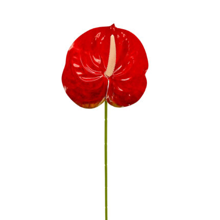 GNW Red Artificial Anthurium LRR-299
