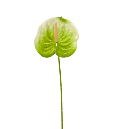 GNW Light Green Artificial Anthurium LRR-296