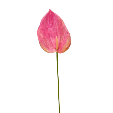 GNW Pink Artificial Anthurium LRR-292