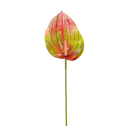 GNW Gradient Red Artificial Anthurium LRR-287