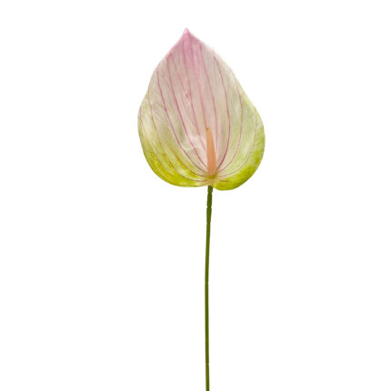GNW Gradient Pink Artificial Anthurium LRR-286