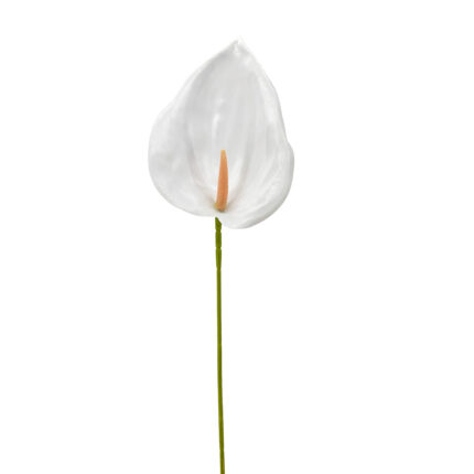 GNW White Artificial Anthurium LRR-281