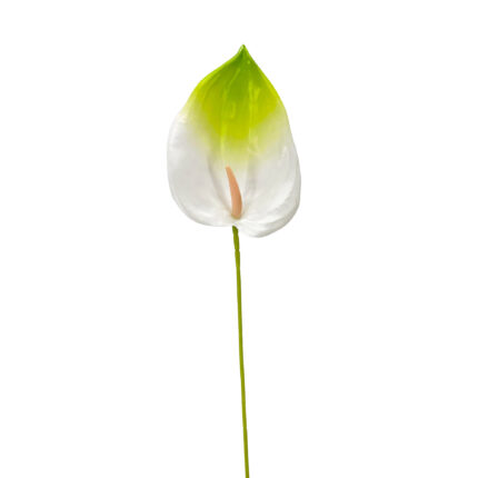 GNW White Green Artificial Anthurium LRR-282