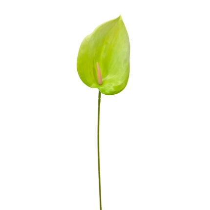 GNW Green Artificial Anthurium LRR-284