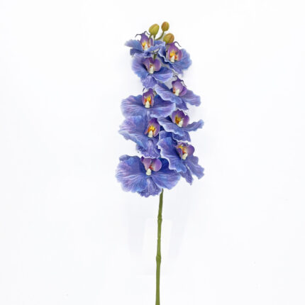 Orchids GYX-31
