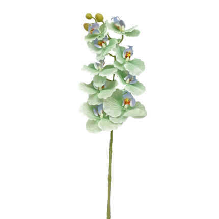 GNW Green Artificial Orchids GYX-34