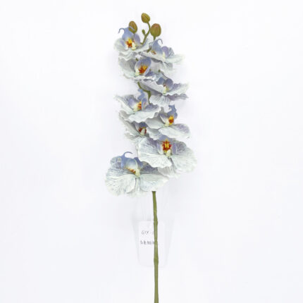 Orchids GYX-30