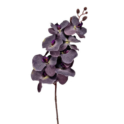 GNW Purple Black Artificial Orchids HXG-17