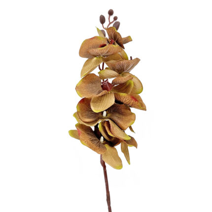 GNW Brown Artificial Orchids HXG-09