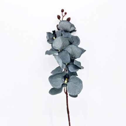 Orchids HXG-16