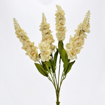 Delphinium YH-02