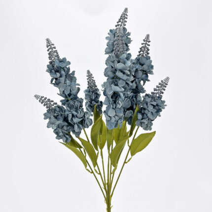 Delphinium YH-06