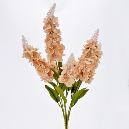 Delphinium YH-03