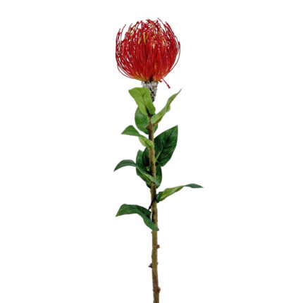 GNW Faux Tropical Cushion Protea Flower HC-05