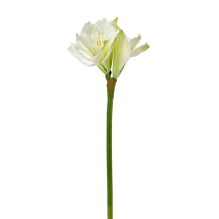 GNW Artificial Amaryllis