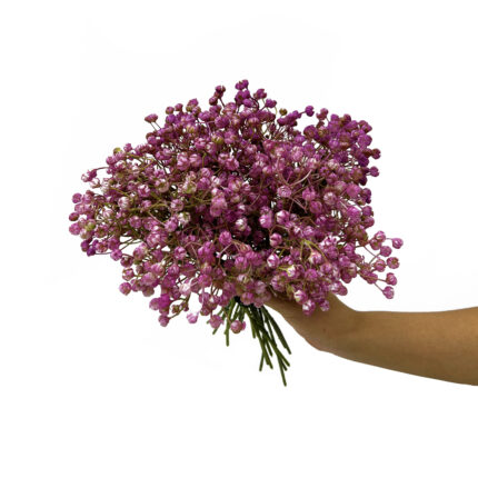 GNW Rose Red Artificial Baby's Breath YZ-28