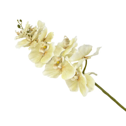 GNW Beige Artificial Orchids WX-189