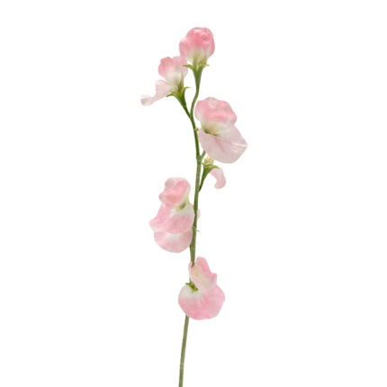 GNW Pink Artificial Sweet Pea HFF-10