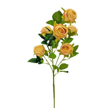 GNW Champagne Artificial Garden Rose Silk DH-24