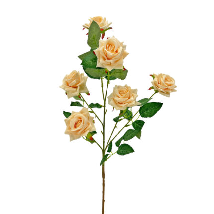 GNW Champagne Artificial Garden Rose With Sharp Tips DH-34