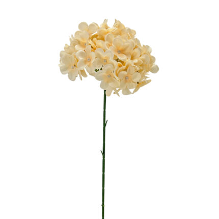 GNW Champagne Hydrangea Silk LRR-350