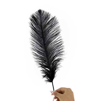 GNW Black Real Feather 25-30Cm