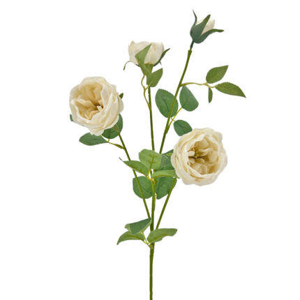 GNW White Artificial David Austin Rose Silk WX-70